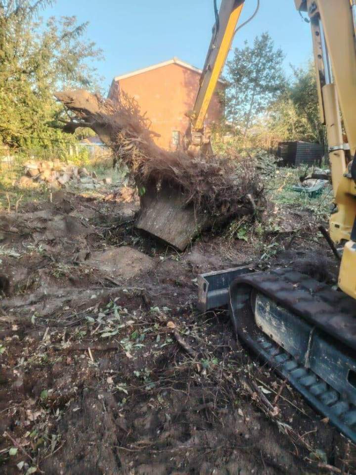 Travaux de dessouchage Talence