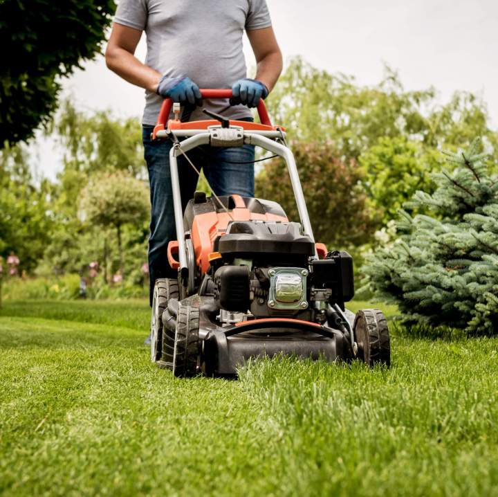 Aménagement de jardin Talence