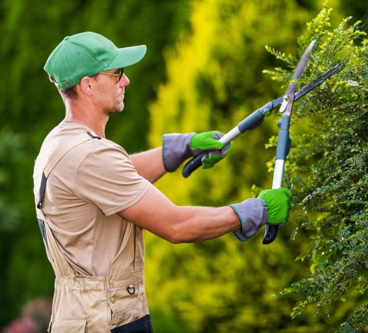 Création de jardin Talence