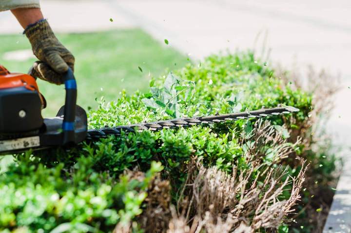 La garantie d'un jardin impeccable toute l'année